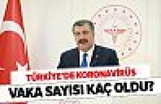 Türkiye'de korona virüsünden 19 kişi daha öldü