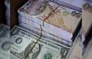 Türkiye'deki kriz gelişmekte olan ülkeleri etkiliyor