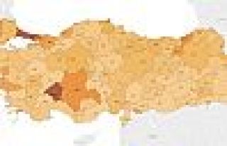 Türkiye'nin korona virüsü haritası