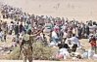 Türkiye'ye göç yüzde 24, Türkiye'den göç yüzde...