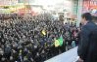 Tuşba'da binler BDP adayını karşıladı