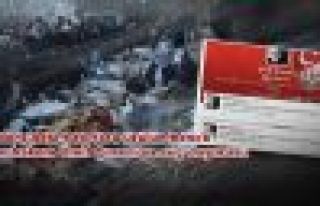 'Uludere'deki katırlara üzülün bence' diyen hakem...