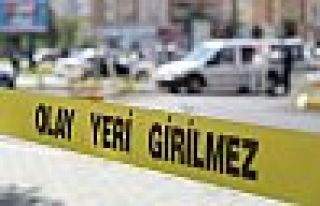 Urfa'da araç tarandı: 1 ölü