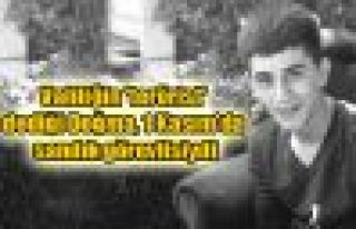 Valilik Doğan Doğma, Hakkari Valiliği, Yüksekova...