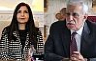 Van ve Mardin’de kayyımların süresi 2 ay daha...