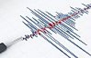 Van'da 4,7 büyüklüğünde deprem 