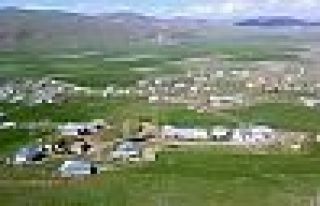 Van'da arazi kavgası: Bir ölü