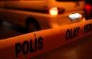 Van'da bir kişi polis tarafında vurularak hayatını...