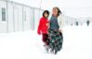 Van'da Konteynerde üçüncü kış