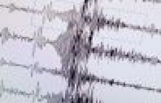 Van'da korkutan deprem