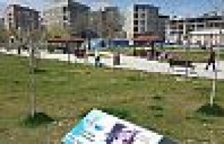 Van'da yeşil alan soruşturmalık oldu