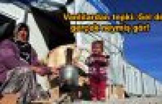 Vanlılardan tepki: Gel de gerçek neymiş gör!