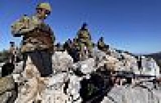 Washington Post: Afrin'de Türkiye-İran cephesi açılabilir