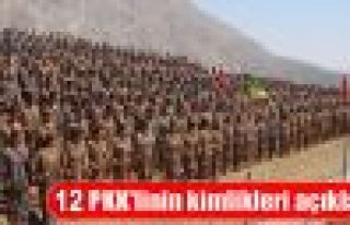 Yaşamını yitiren 12 PKK'linin kimliği açıklandı