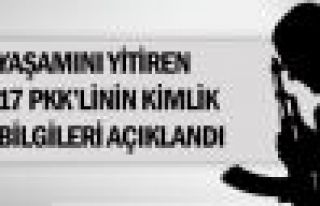 Yaşamını yitiren 17 PKK'linin kimliği açıklandı