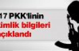 Yaşamını yitiren 17 PKK'linin kimlik bilgileri...
