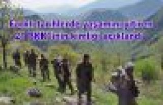 Yaşamını yitiren 21 PKK'linin kimliği açıklandı