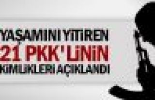 Yaşamını yitiren 21 PKK'linin kimliği açıklandı