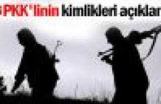 Yaşamını yitiren 23 PKK'linin kimliği açıklandı