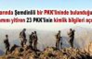 Yaşamını yitiren 23 PKK'linin kimlik bilgileri...