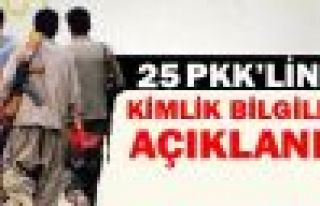 Yaşamını yitiren 25 PKK'linin kimliği açıklandı