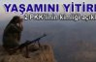 Yaşamını yitiren 2 PKK'linin kimliği açıklandı...