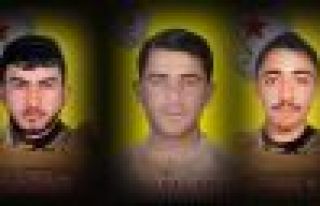 Yaşamını yitiren 3 savaşçının kimliği açıklandı