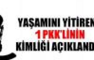 Yaşamını yitiren bir PKK'linin kimliği açıklandı