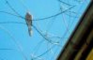 Yedi Kat Yerin Altında Meryem ile Dua Bebek!