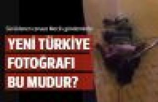 Yeni Türkiye'nin fotoğrafı bu mudur?