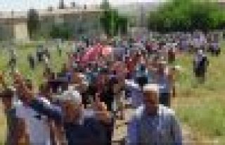 Yıldız ve Kurul'u onbinler toprağa verdi