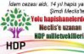 Yolu hapishanelerden Meclis'e uzanan HDP milletvekilleri...