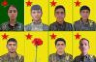 YPG 7 savaşçının kimliğini açıkladı
