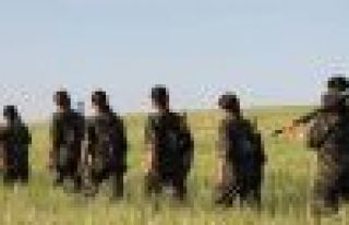 YPG: Bir tepe özgürleştirildi, 17 çete öldürüldü