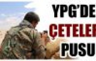 YPG güçlerinden çetelere eylem: 15 çete üyesi...