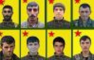YPG'ê nasnameya 10 şervanên xwe eşker kir