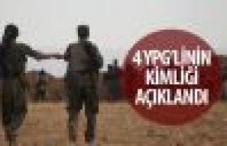 YPG yaşamını yitiren 4 savaşçının kimlik bilgilerini...