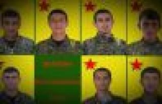 YPG yaşamını yitiren 7 savaşçının kimliğini...