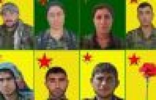 YPG yaşamını yitiren 8 savaşçının kimliğini...