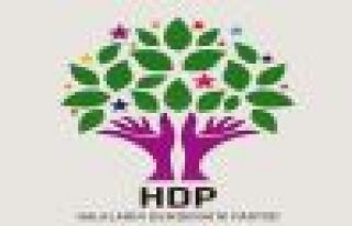 YSK'dan HDP'nin Van 6. sıra adayına veto