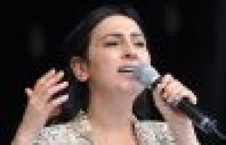 Yüksekdağ: Almanya çözüm süreci için destek...