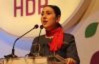 Yüksekdağ: Bildirgemiz sultanın kabusu, Türkiye...
