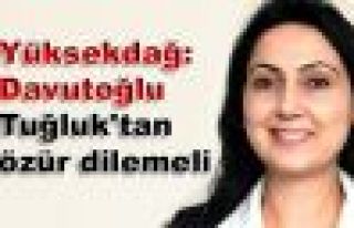 Yüksekdağ: Davutoğlu Tuğluk'tan özür dilemeli