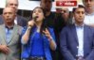 Yüksekdağ Hakkari'de Erdoğan'a seslendi