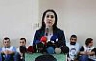 Yüksekdağ: Öcalan'la bir an önce görüşme sağlansın