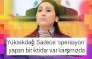 Yüksekdağ: Sadece 'operasyon' yapan bir iktidar...