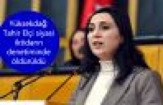 Yüksekdağ: Tahir Elçi siyasi iktidarın denetiminde...
