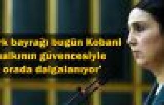 Yüksekdağ: Türk bayrağı Kobani halkının güvencesi...