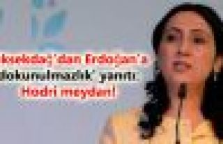 Yüksekdağ'dan Erdoğan'a 'dokunulmazlık' yanıtı:...
