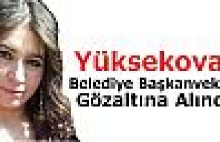 Yüksekova'da Belediye Eş Başkanvekili ve 2 kişi...